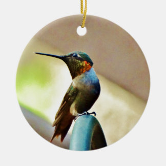 Perched Ruby and Green little Hummingbird Ceramic Tree Decoration