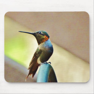Perched Ruby and Green little Hummingbird Mouse Pad