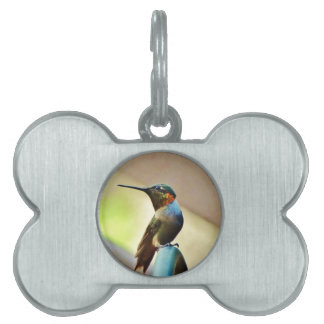 Perched Ruby and Green little Hummingbird Pet Name Tag
