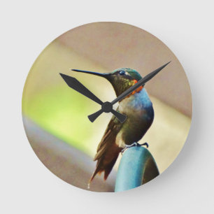 Perched Ruby and Green little Hummingbird Round Clock