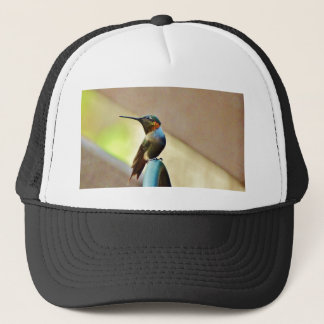 Perched Ruby and Green little Hummingbird Trucker Hat
