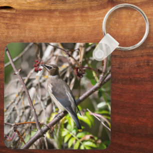 Perched Songbird, Bohemian Waxwing Key Ring