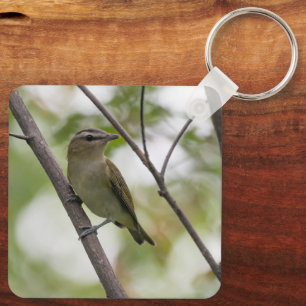 Perched Vireo, Gentle Forest Songbird Key Ring