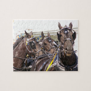 Percheron Draught Horse Jigsaw Puzzle
