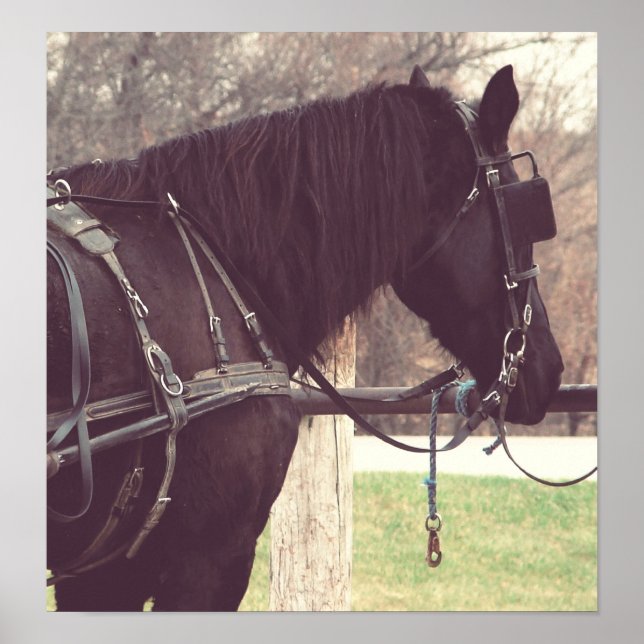 Percheron, Faux Vintage Poster (Front)