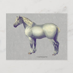 Percheron Horse Equine Art Postcard