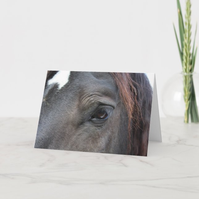 Percheron horse greeting card (Front)