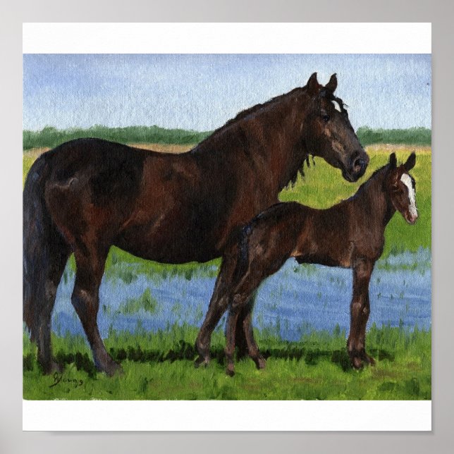 Percheron Mare and Foal Portrait Poster (Front)