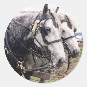 Percheron Tandem Classic Round Sticker