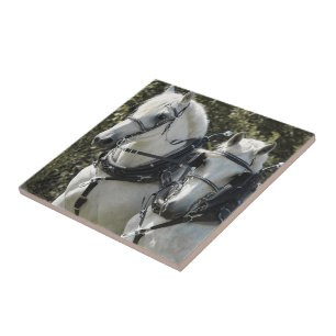 Percheron Team Ceramic Tile