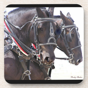 Percheron Team Coasters