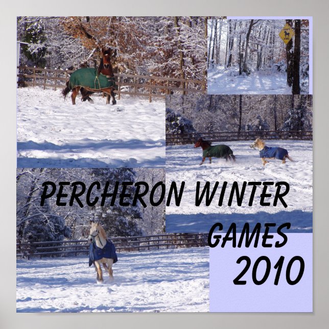 PERCHERON WINTER GAMES, 2013 POSTER (Front)