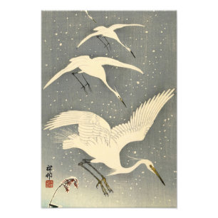 Perching Herons in Snow by Ohara Koson Photo Print