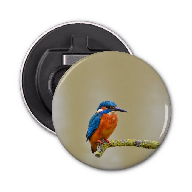 Perching Kingfisher Bottle Opener (Front)