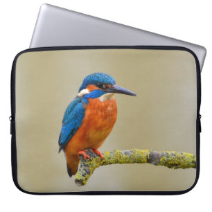 Perching Kingfisher Laptop Sleeve