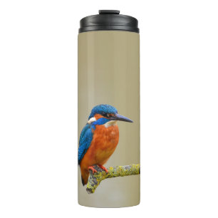 Perching Kingfisher Thermal Tumbler