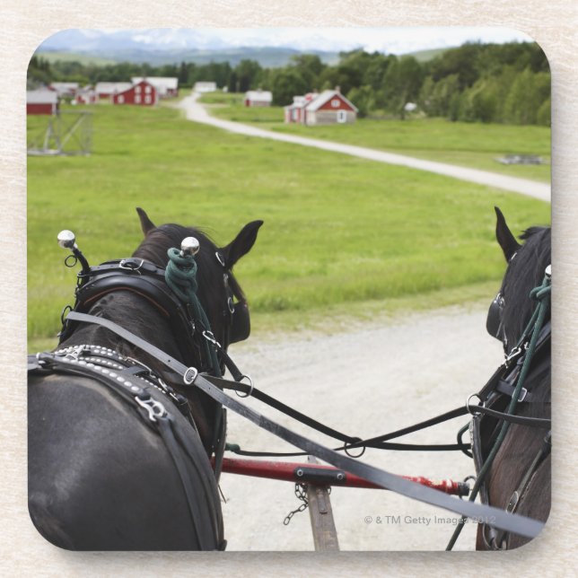 Perchon horses pulling cart  against historic coaster (Front)