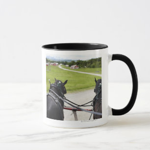 Perchon horses pulling cart  against historic mug