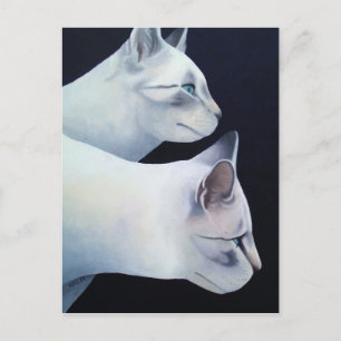 Percival & Lancelot Postcard