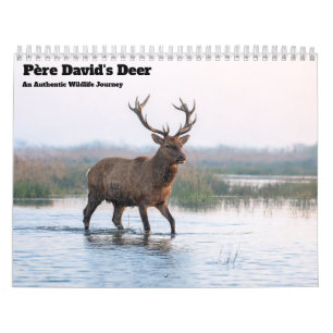 Père David’s Deer 2027 Wall Calendar