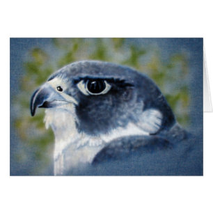 Peregrine-airbrush