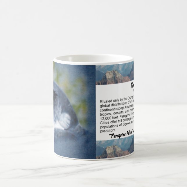 Peregrine-airbrush Coffee Mug (Center)