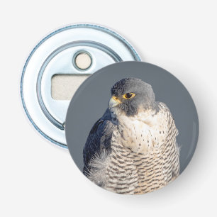 Peregrine Falcon along the Hudson River Bottle Opener