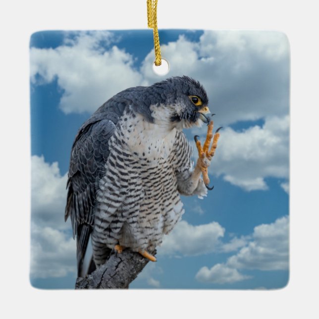 Peregrine Falcon along the Hudson River Ceramic Ornament (Front)