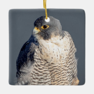 Peregrine Falcon along the Hudson River Ceramic Ornament