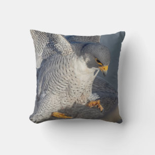 Peregrine Falcon along the Hudson River Cushion