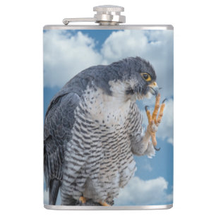 Peregrine Falcon along the Hudson River Hip Flask