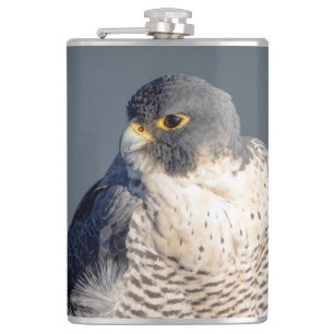 Peregrine Falcon along the Hudson River Hip Flask
