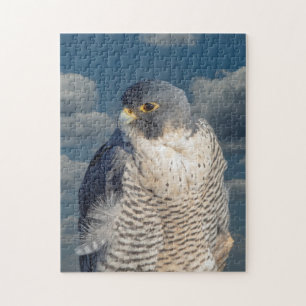 Peregrine Falcon along the Hudson River Jigsaw Puzzle