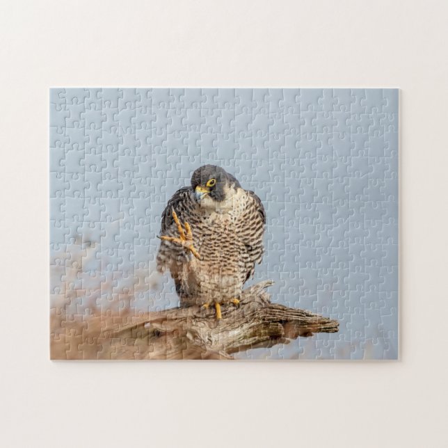 Peregrine Falcon along the Hudson River Jigsaw Puzzle (Horizontal)