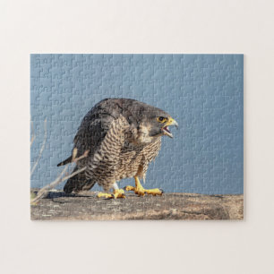 Peregrine Falcon along the Hudson River Jigsaw Puzzle