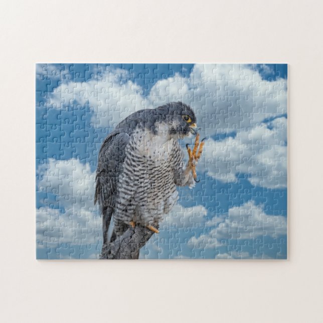 Peregrine Falcon along the Hudson River Jigsaw Puzzle (Horizontal)