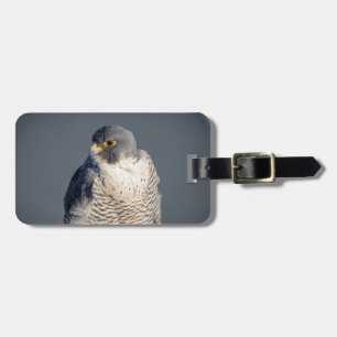 Peregrine Falcon along the Hudson River Luggage Tag