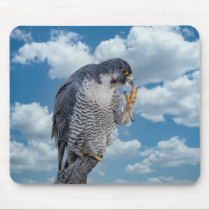 Peregrine Falcon along the Hudson River Mouse Pad