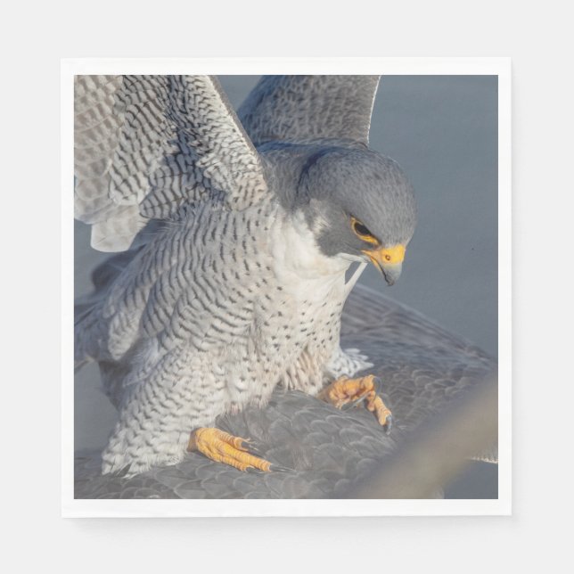 Peregrine Falcon along the Hudson River Napkin (Front)