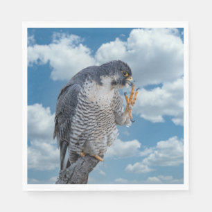Peregrine Falcon along the Hudson River Napkin