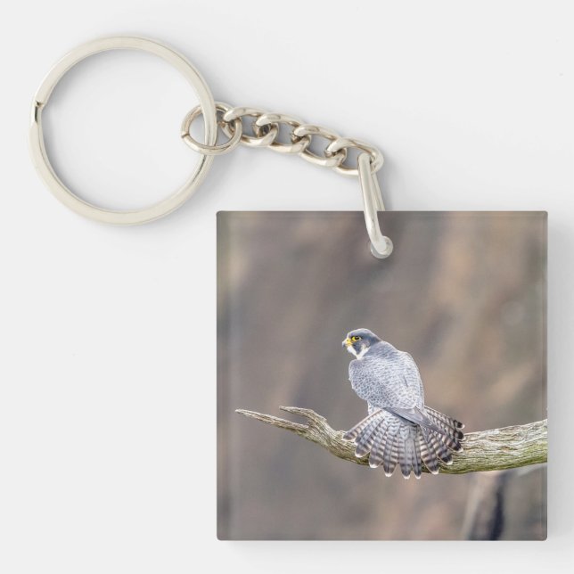 Peregrine Falcon at the Palisades Interstate Park Key Ring (Front)