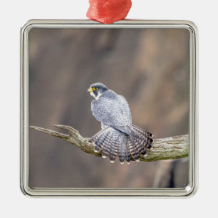 Peregrine Falcon at the Palisades Interstate Park Metal Tree Decoration