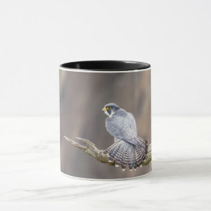 Peregrine Falcon at the Palisades Interstate Park Mug
