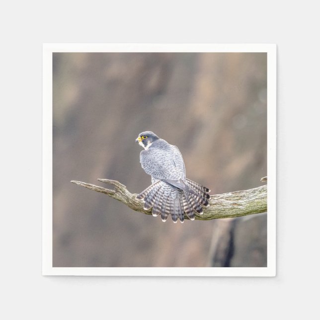 Peregrine Falcon at the Palisades Interstate Park Napkin (Front)