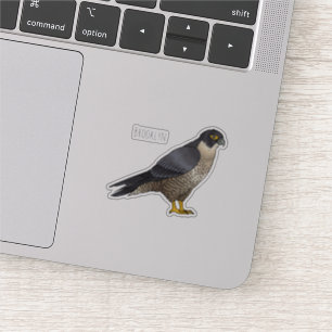 Peregrine falcon bird cartoon illustration
