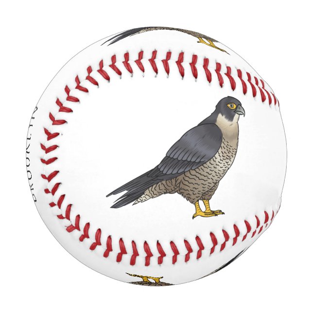 Peregrine falcon bird cartoon illustration  baseball (Front Left)