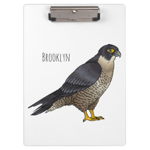 Peregrine falcon bird cartoon illustration clipboard