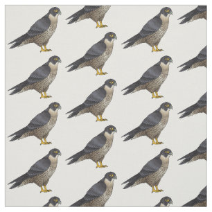 Peregrine falcon bird cartoon illustration fabric