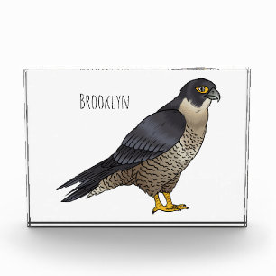 Peregrine falcon bird cartoon illustration photo block