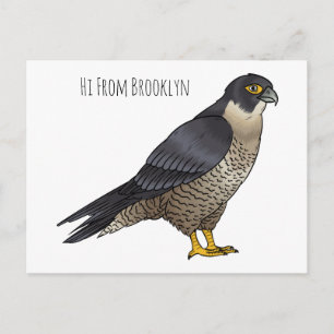 Peregrine falcon bird cartoon illustration postcard